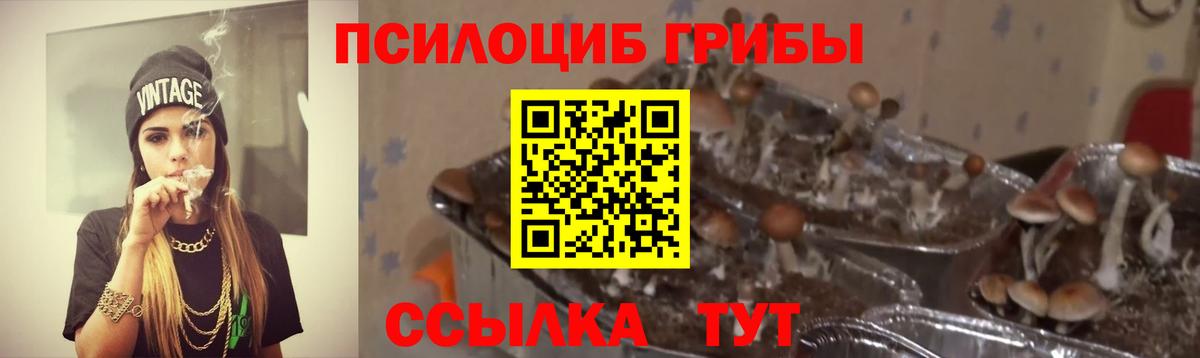 Галлюциногенные грибы Cubensis  Вход с VPN  Галлюциногенные грибы Psilocybine cubensis  Корсаков 